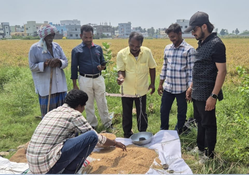 వరి పంట కోత ప్రయోగంలో అధిక దిగుబడి…