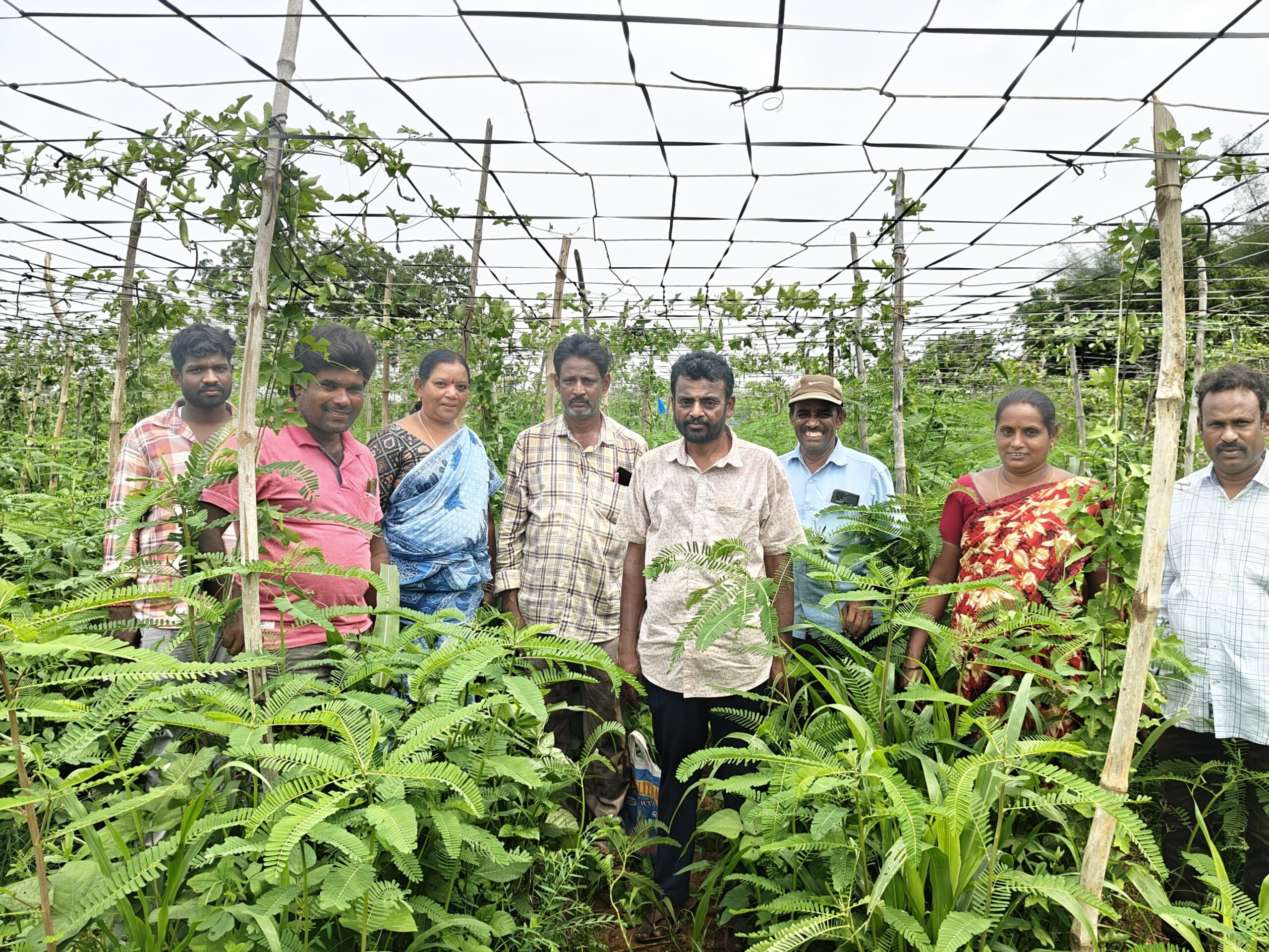 జిల్లా ప్రాజెక్టు మేనేజర్ ఎలియాజర్ ఆధ్వర్యంలో ప్రకృతి వ్యవసాయ పెరటి తోటలపై శిక్షణ