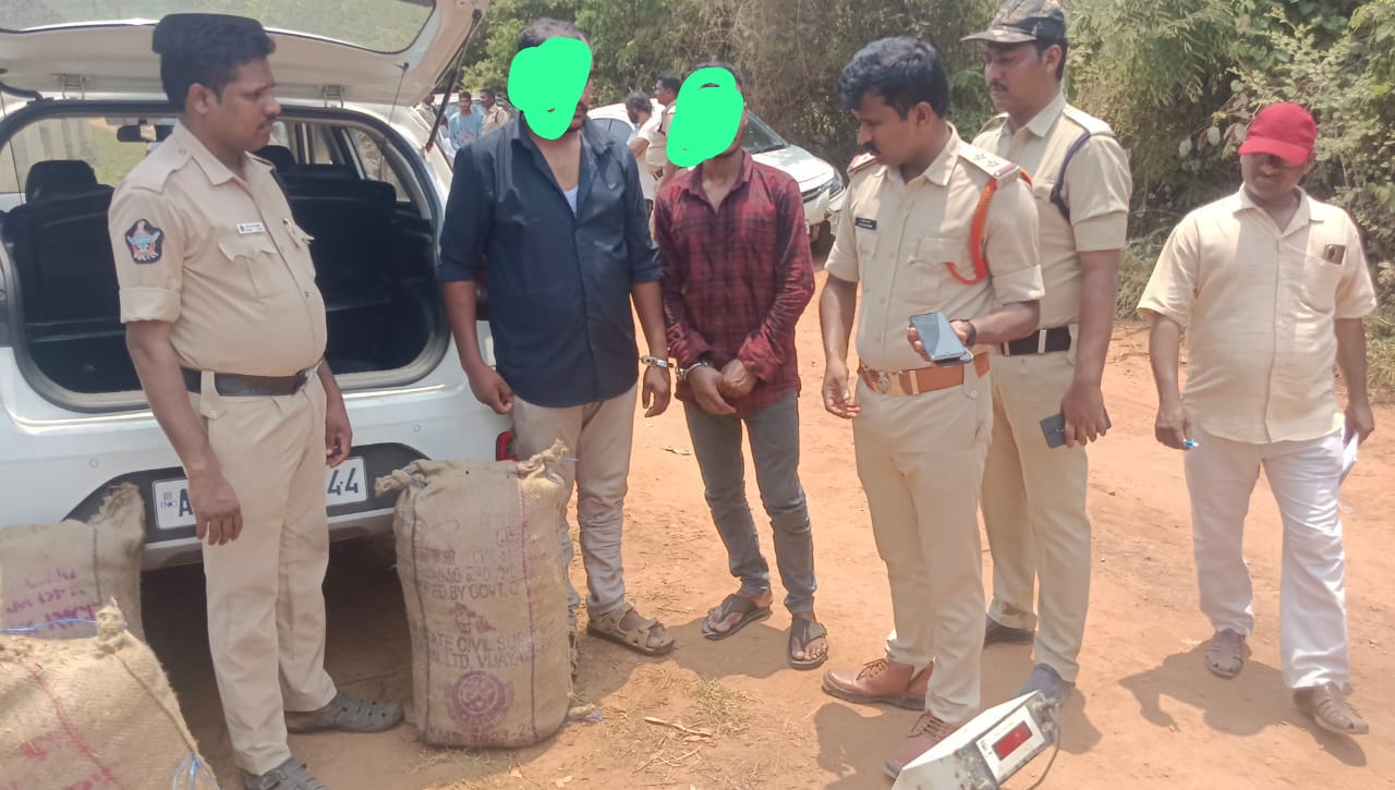 133.1 కేజీల గంజాయి స్వాధీనం చేసుకున్న అన్నవరం పోలీసులు…