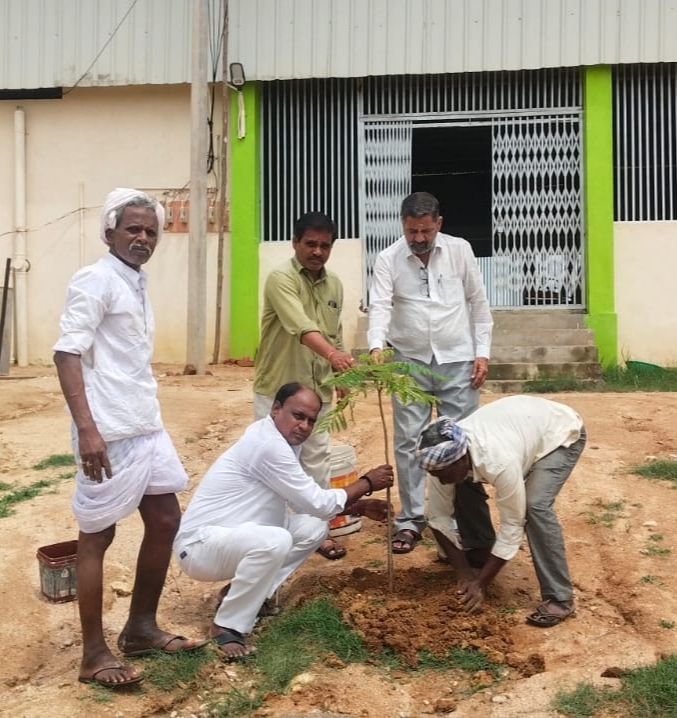 హరితహారంలో భాగంగా మొక్కలు నాటిన చైర్మన్ నర్సింహ రెడ్డి