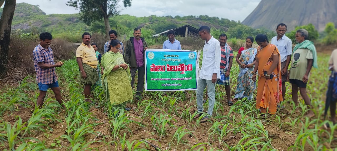 పొలం పిలుస్తోందిలో రైతులకు సలహాలు – వ్యవసాయ శాఖ అధికారి కే. సీరీష