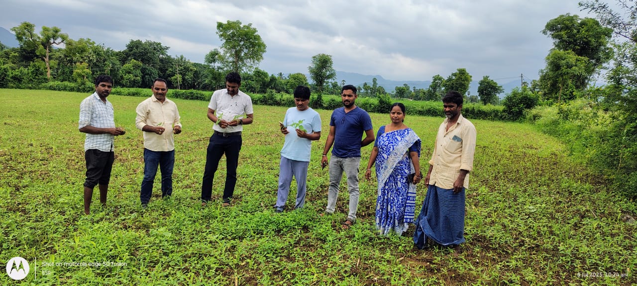 విత్తనాలను బీజామృతం తో శుద్ధి చేయాలి – రైతు అభివృద్ధిసాధ్యం.. ఏ ఓ తిరుపతి రావు