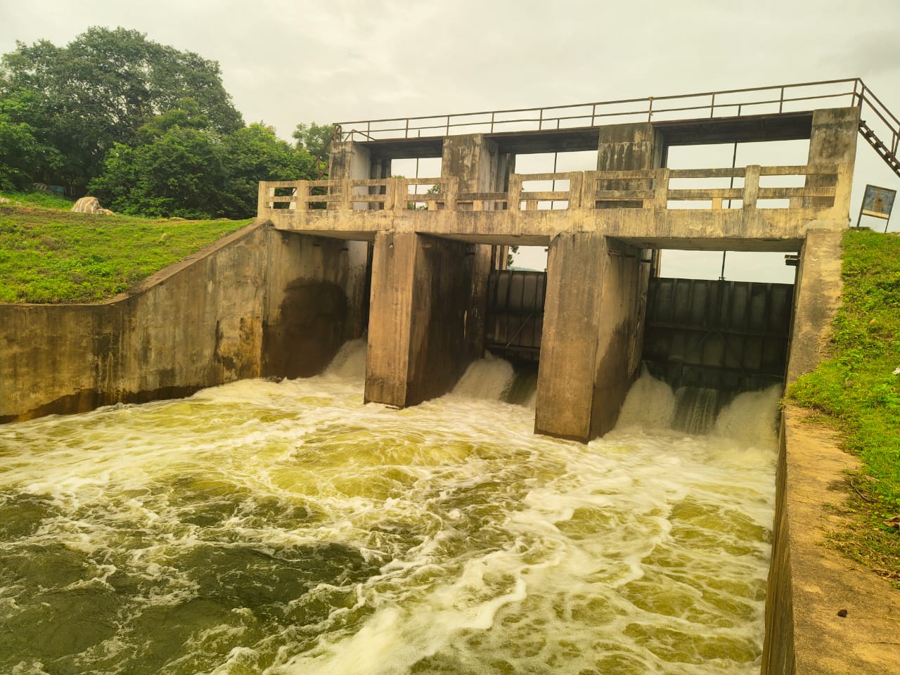సింగీతం 3 గేట్ల ద్వారా కొనసాగుతున్న నీటి విడుదల..