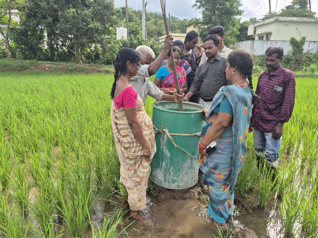 వివిధ కషాయాలతోనే చీడ పీడల నివారణ..