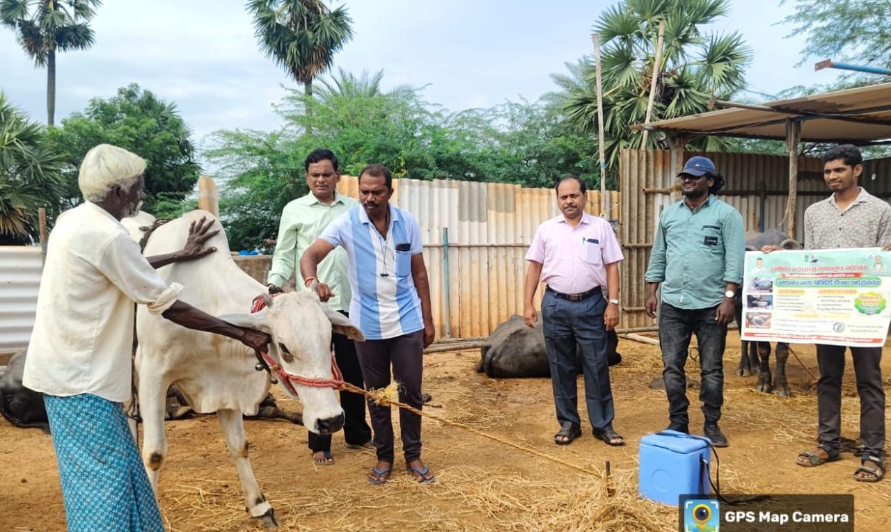 పశువులకు విధిగా టీకాలు చేయించాలి – డిప్యూటీ డైరెక్టర్