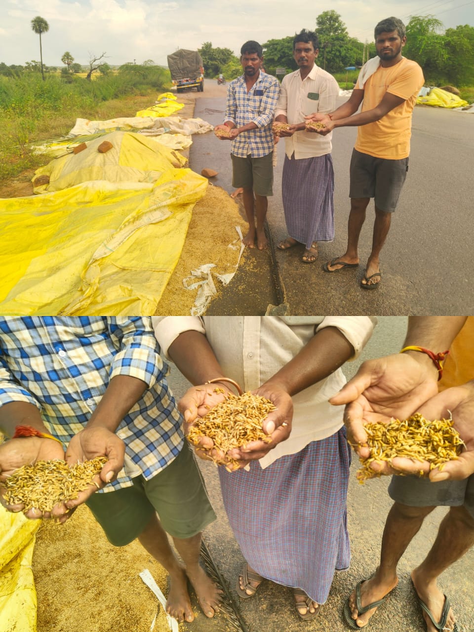 వర్షానికి తడుస్తున్న వరి ధాన్యం…. కంటతడి పెడుతున్న అన్నదాత ..