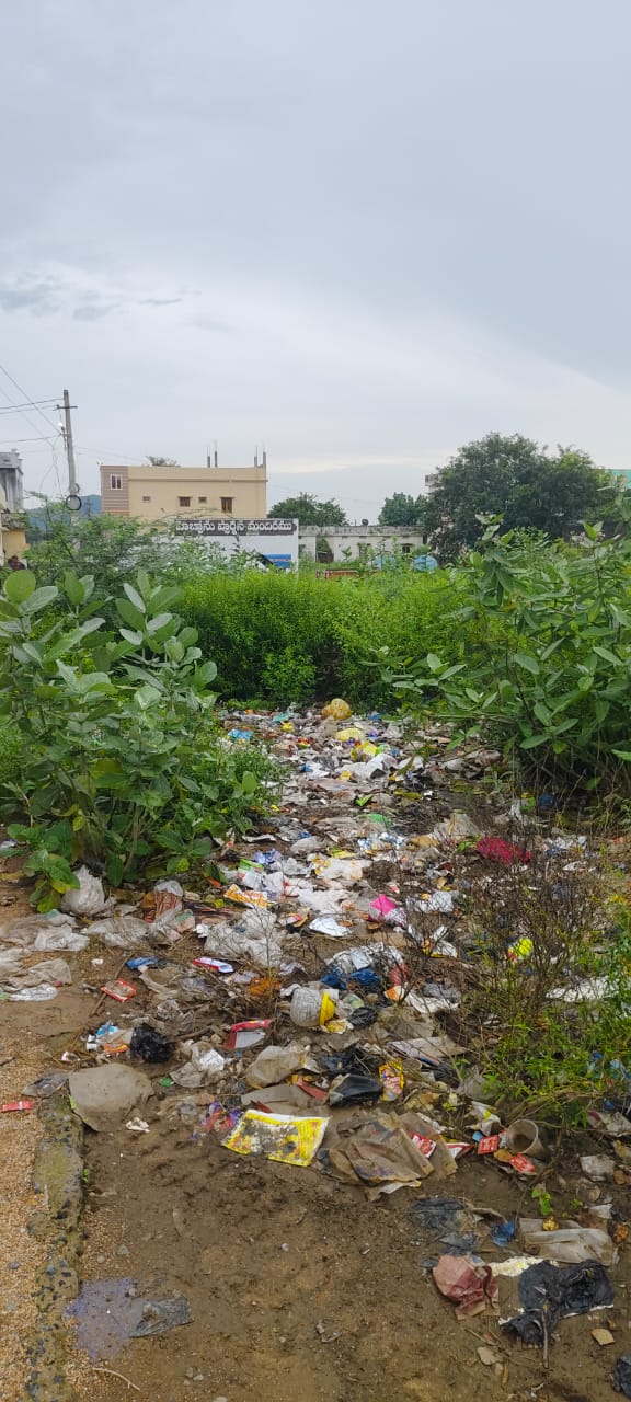 ఉదయగిరి లో రోడ్ల పక్కనే పేరుకుపోయిన చెత్త, చదారాలు,,? దోమల వలన ప్రజలు విష జ్వరాల బారిన పడుతున్న వైనం..?చర్యలు తీసుకోవాలంటూ ప్రజలు వేడుకలు…?
